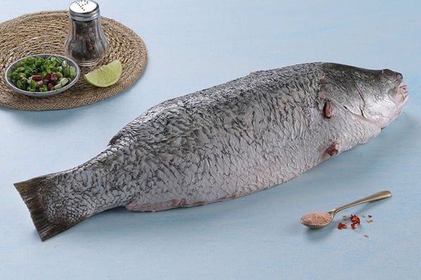 Barramundi