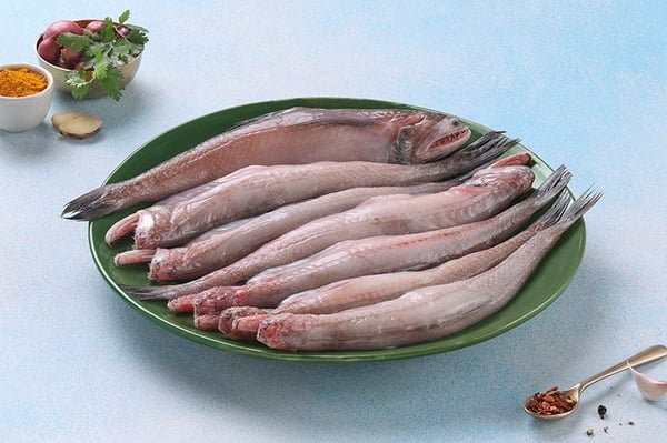 Bombay Duck Fish