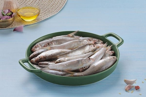 Desi Bata Fish