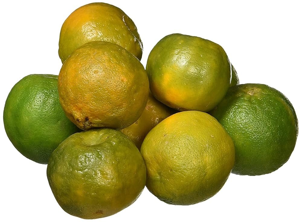 Fresh Baby Orange Nagpur, 1kg