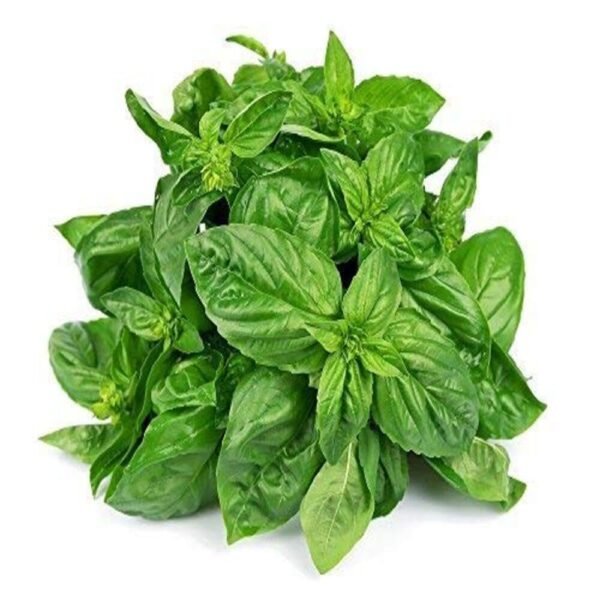 Fresh Basil - Leaves, 100 grams