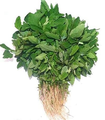 Fresh Bathua, 250 g