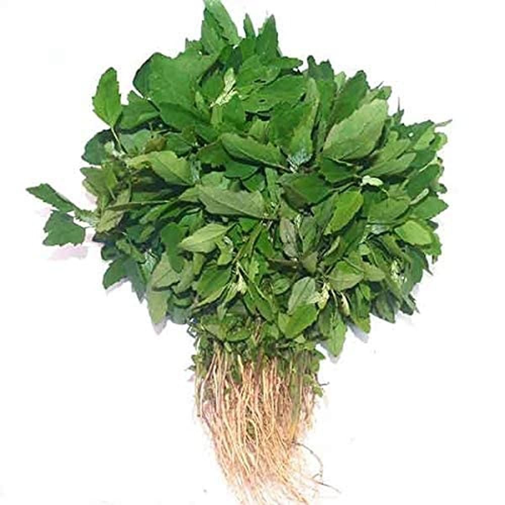 Fresh Bathua, 250 g