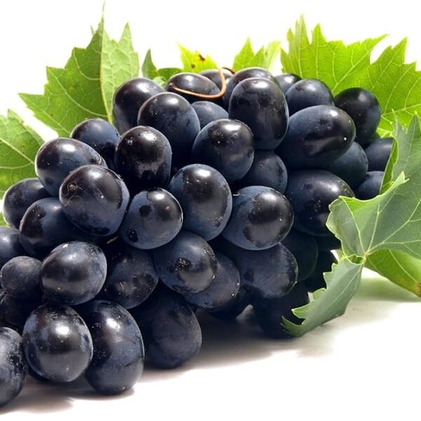Fresh Black Grapes, 500 g