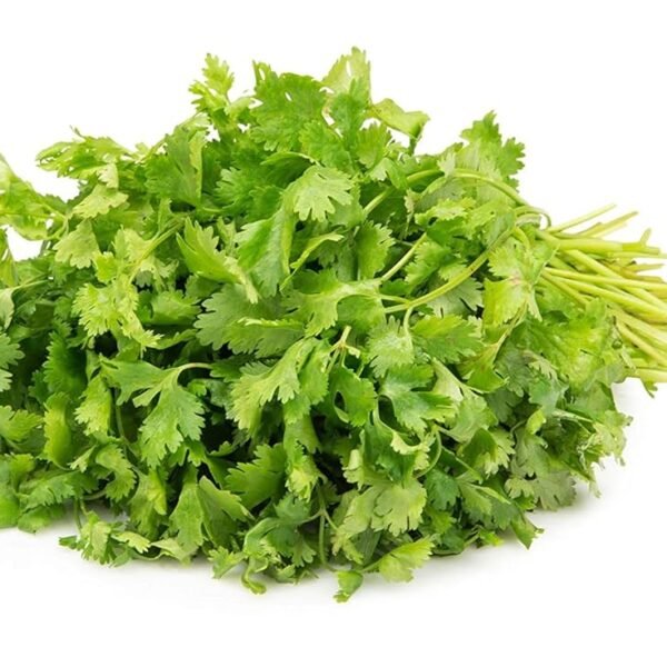 Fresh Coriander, 100 Gm - Leaves