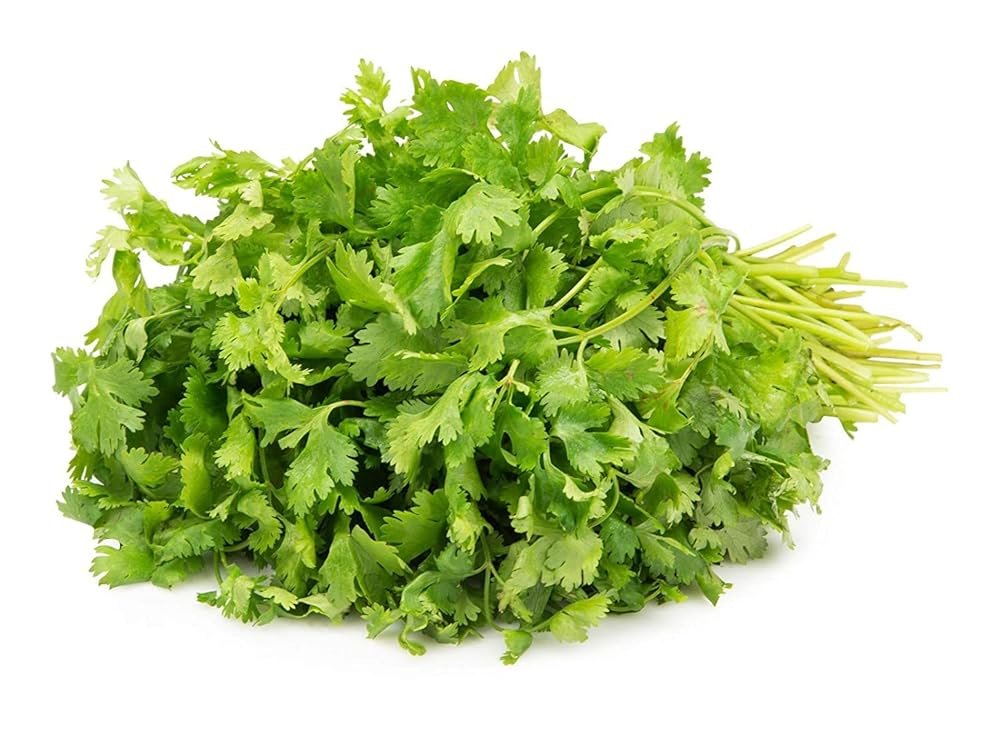 Fresh Coriander, 100 Gm - Leaves