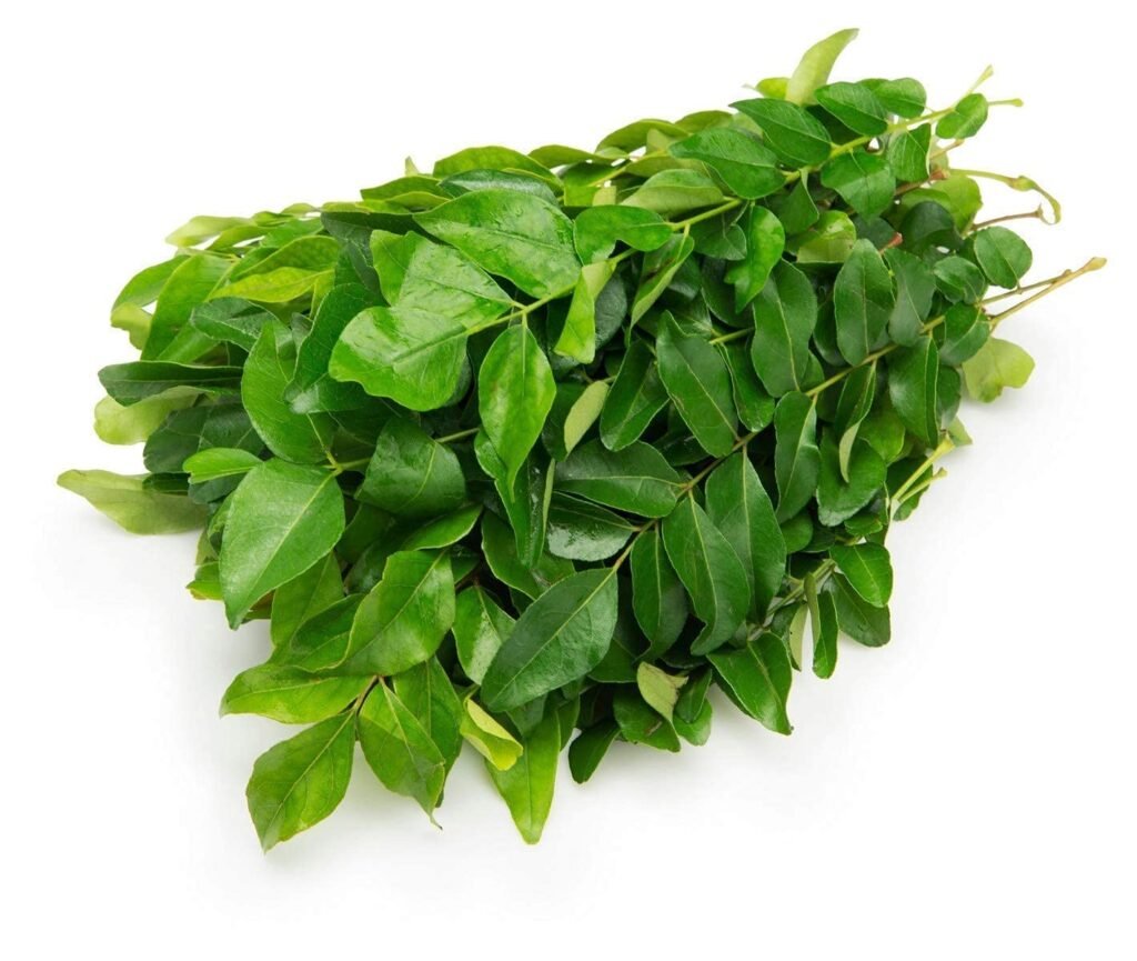 Fresh Curry Leaves, 100 g Bunch