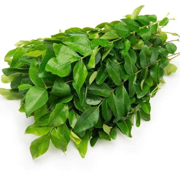 Fresh Curry Leaves, 100 g Bunch