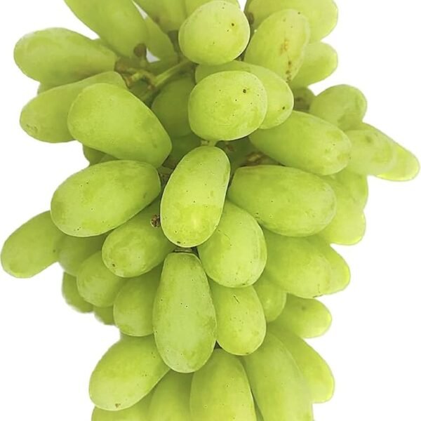 Fresh Grapes Sonaka Seedless, 500 g