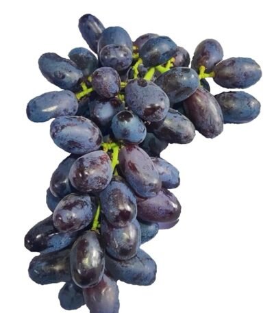 Fresh Jumbo Black Grapes - Fresh, 500 Gm