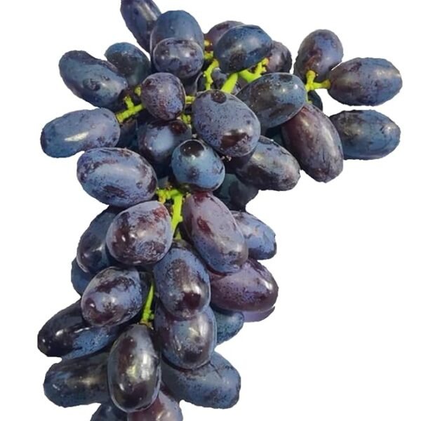 Fresh Jumbo Black Grapes - Fresh, 500 Gm