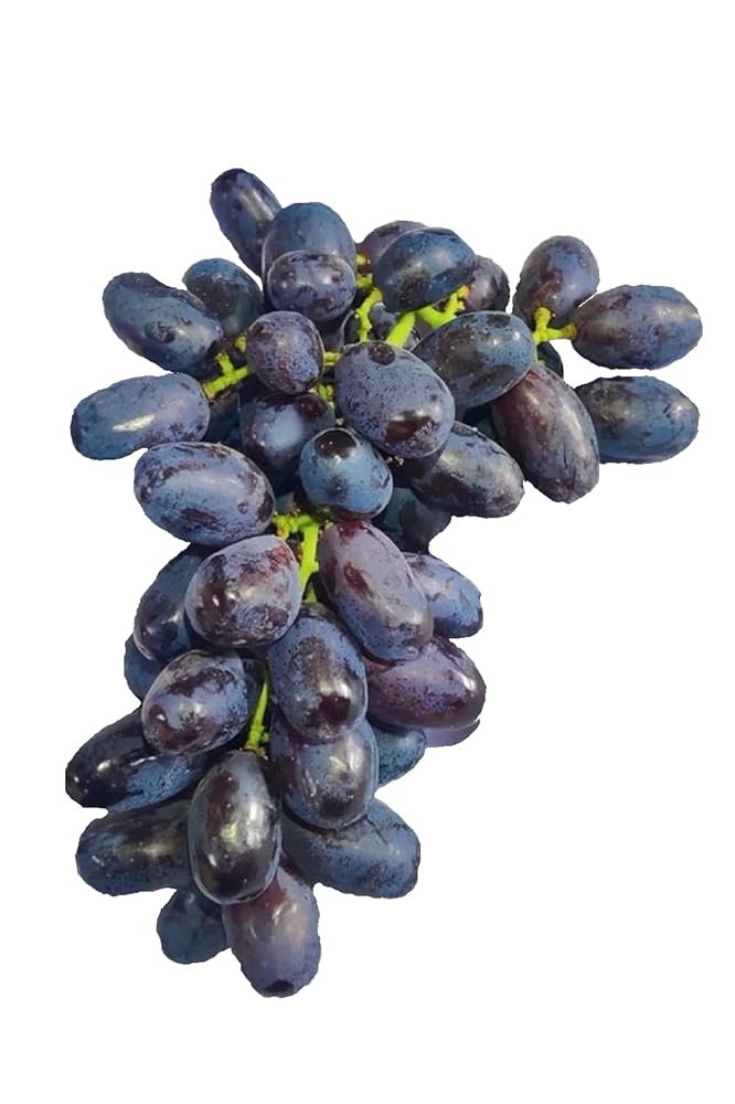 Fresh Jumbo Black Grapes - Fresh, 500 Gm