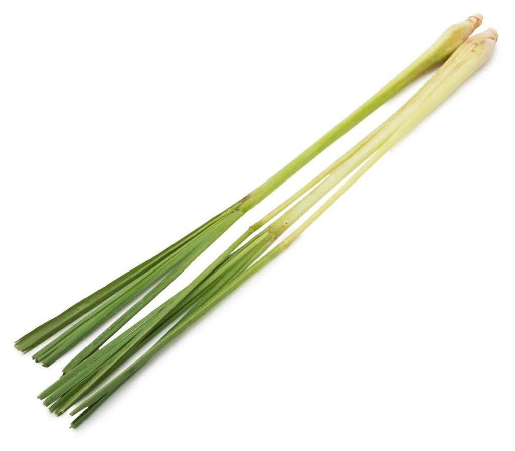Fresh Lemon Grass, 100g