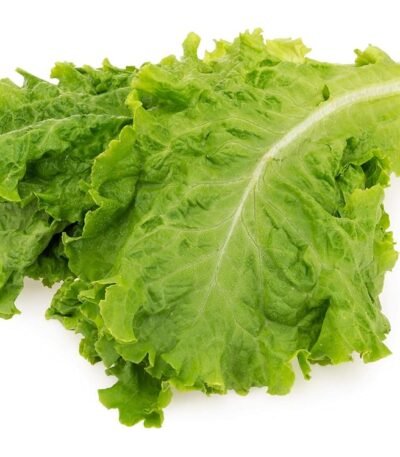 Fresh Lettuce, Green 1 Pc