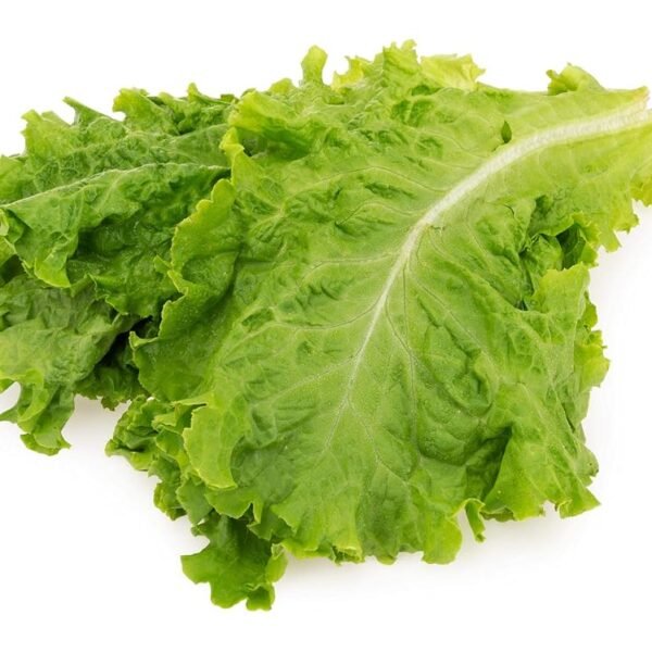 Fresh Lettuce, Green 1 Pc