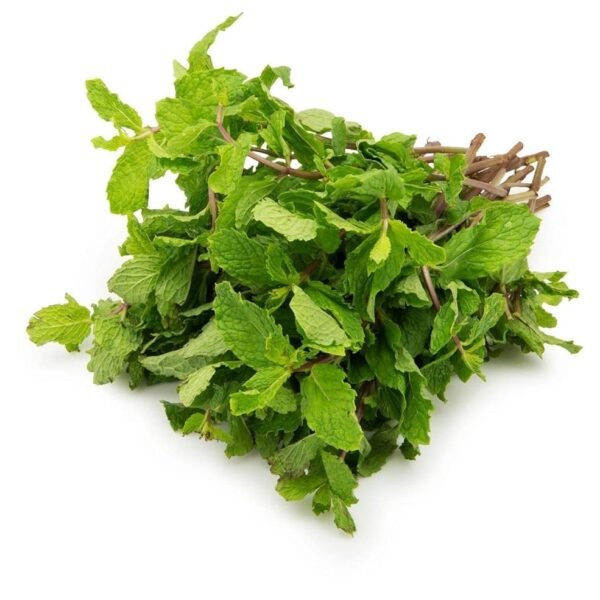 Fresh Mint Leaves, 100 g