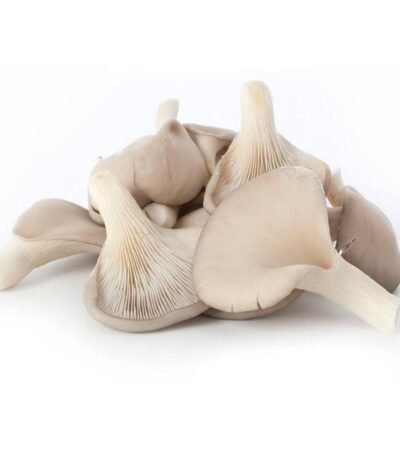 Fresh Mushroom Oyster, 1 Pack (200 gm Approx.)