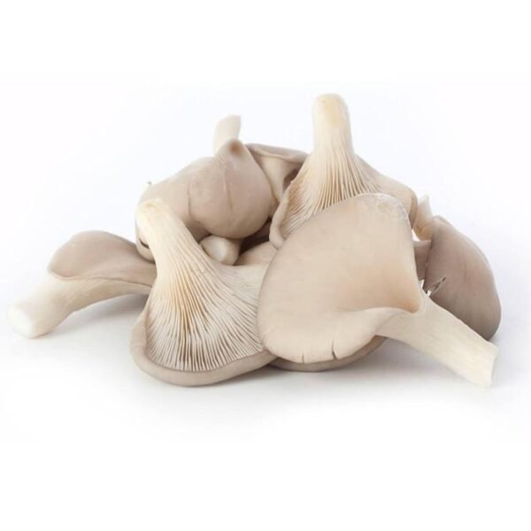 Fresh Mushroom Oyster, 1 Pack (200 gm Approx.)