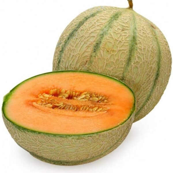 Fresh Musk Melon Striped, 1pc (500-900g)