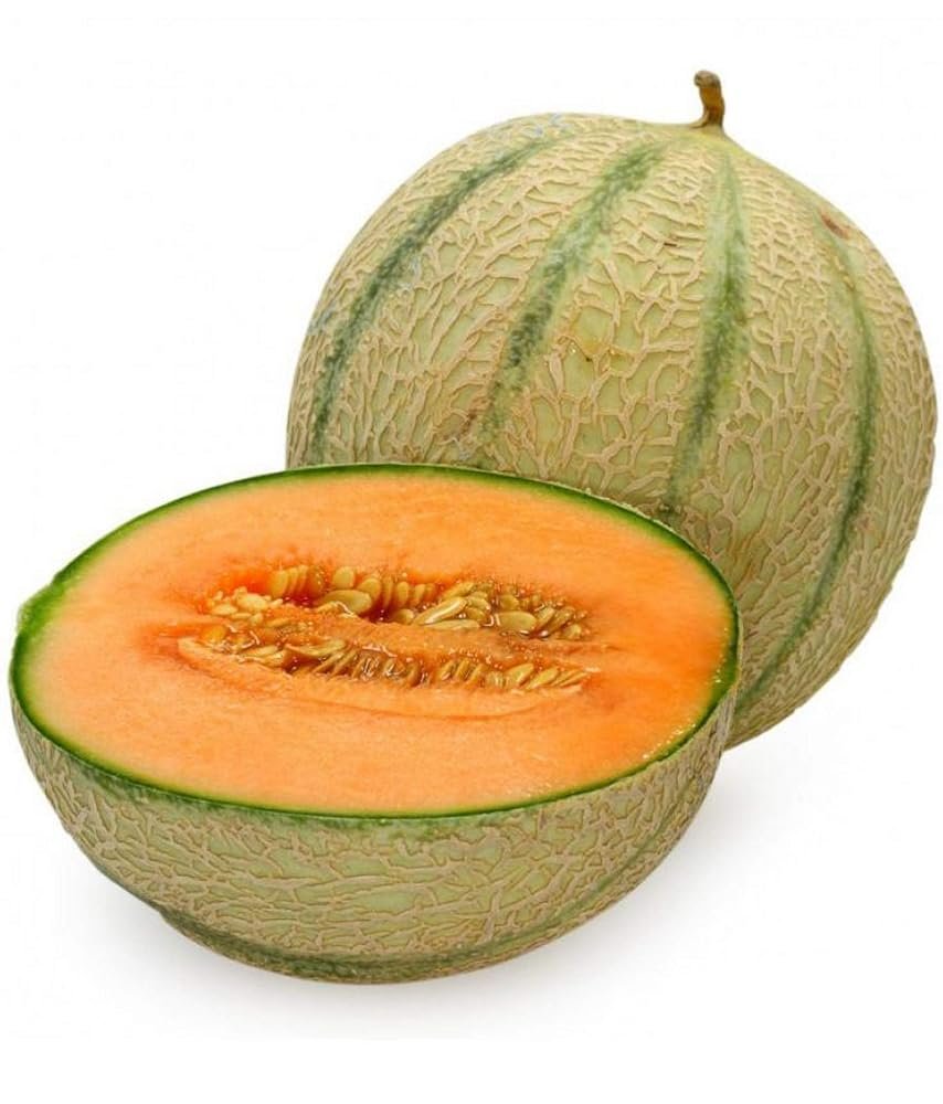 Fresh Musk Melon Striped, 1pc (500-900g)