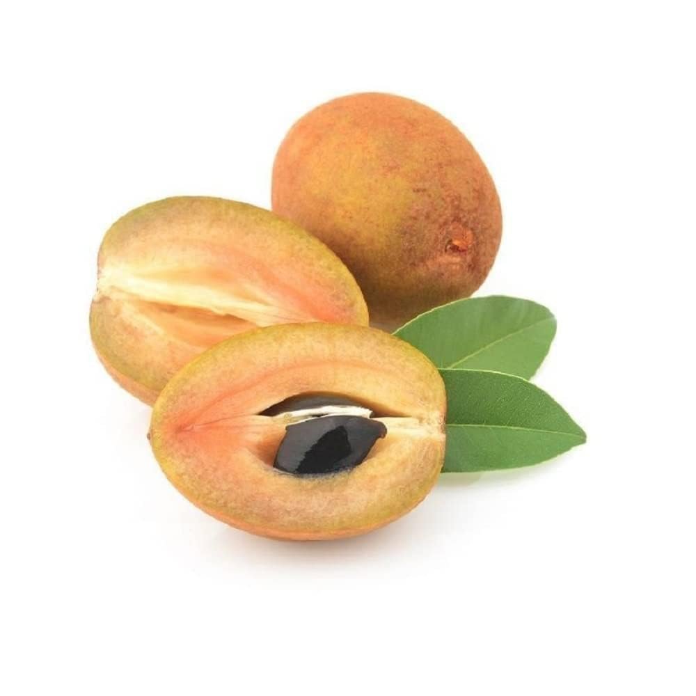 Fresh Sapota - 500g