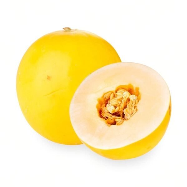 Fresh Sun Melon, 1 Piece