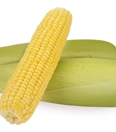 Fresh Sweet Corn - American, 2 Pieces Pack