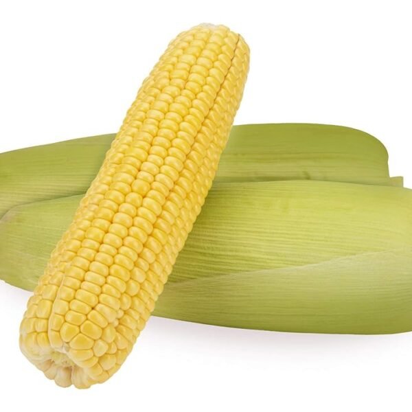 Fresh Sweet Corn - American, 2 Pieces Pack