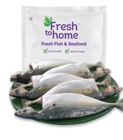 FreshToHome Mackerel/Ayala/Bangda/Aylai (5 to 9 Count/kg) | 480g to 550g Pack | Whole Cleaned, Includes Head Pieces | Fresh | Never Frozen