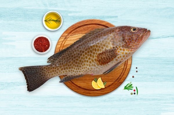 Grouper
