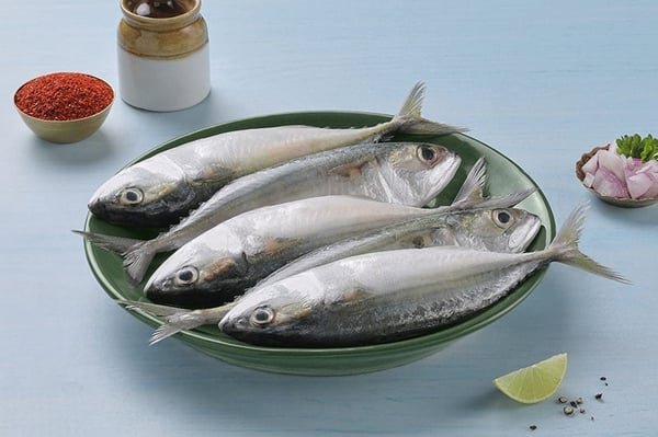 Mackerel