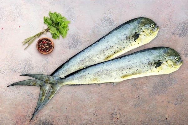 Mahi Mahi