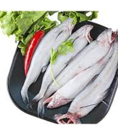 Naik Bombay Duck (Bombil/Loytta/Lote)| 500g (7-10 pcs) | Whole cleaned |Frozen