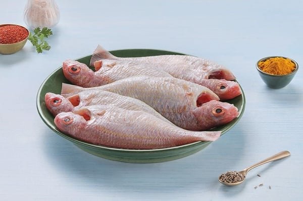 Pink Perch