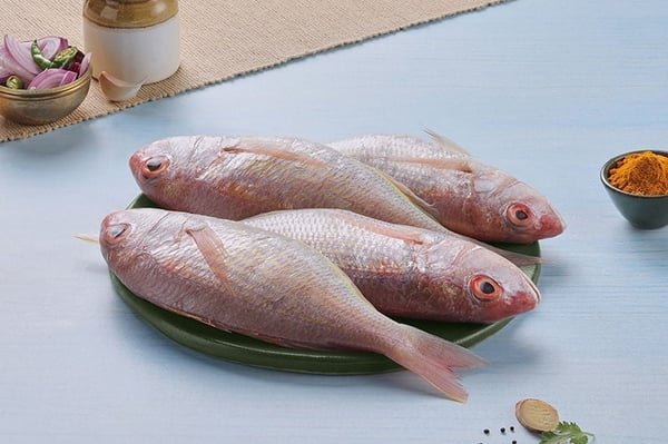 Pink Perch