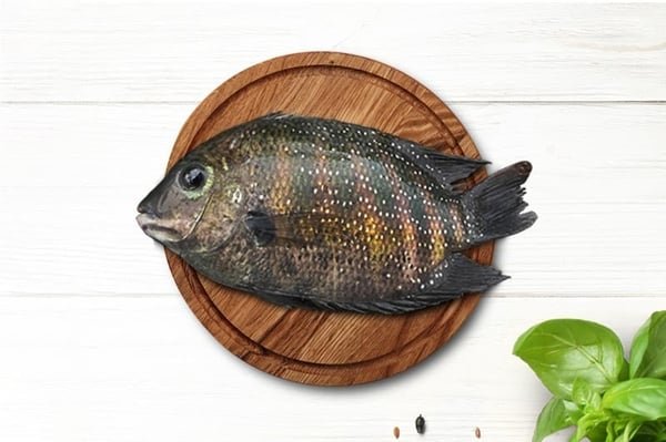 Premium Kumarakom Karimeen