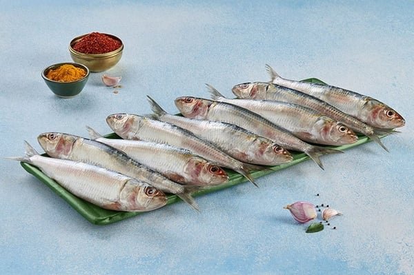Premium Sardine