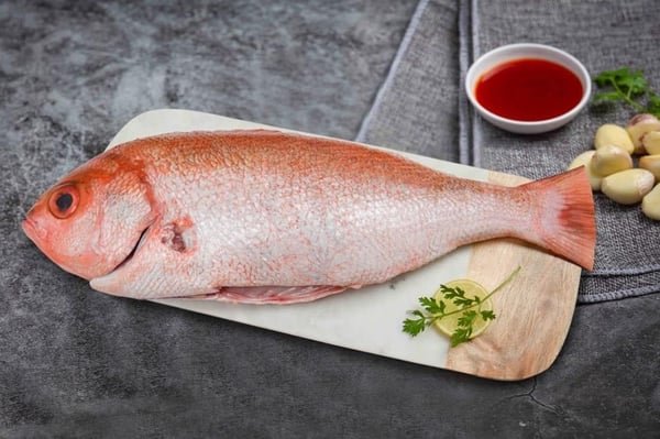 Red Snapper