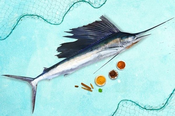 Sail Fish