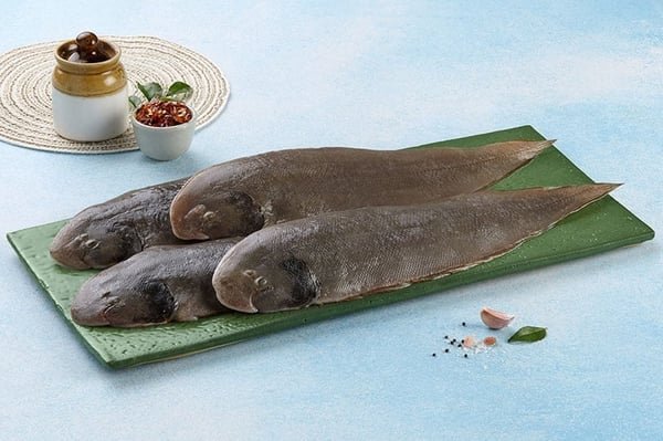 Sole Fish