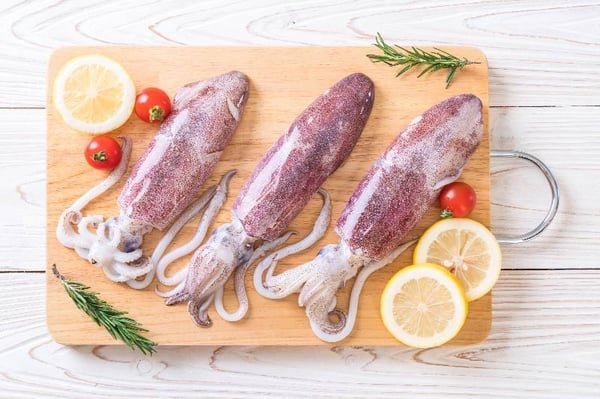 Squid