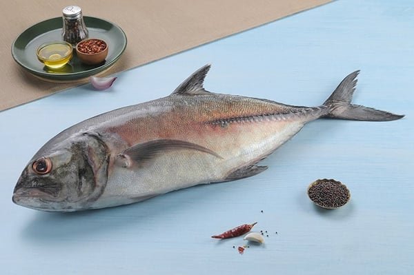Trevally