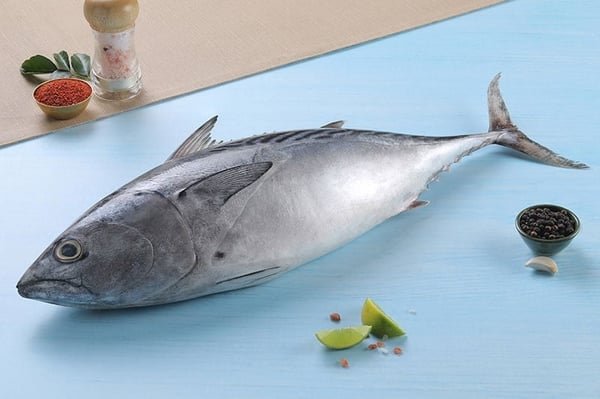 Tuna