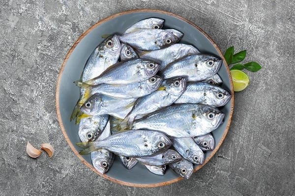 White Fish