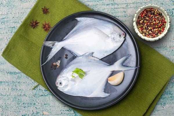 White Pomfret