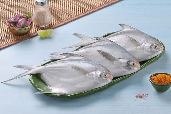 White Pomfret