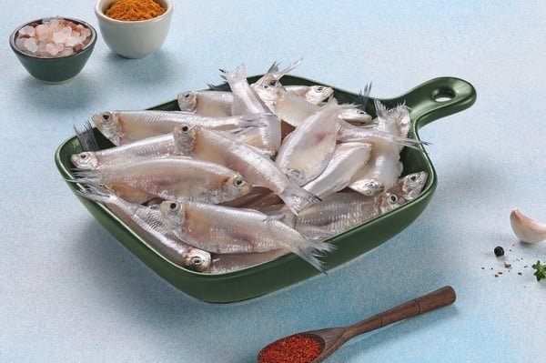 White Sardine