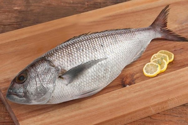 White Snapper